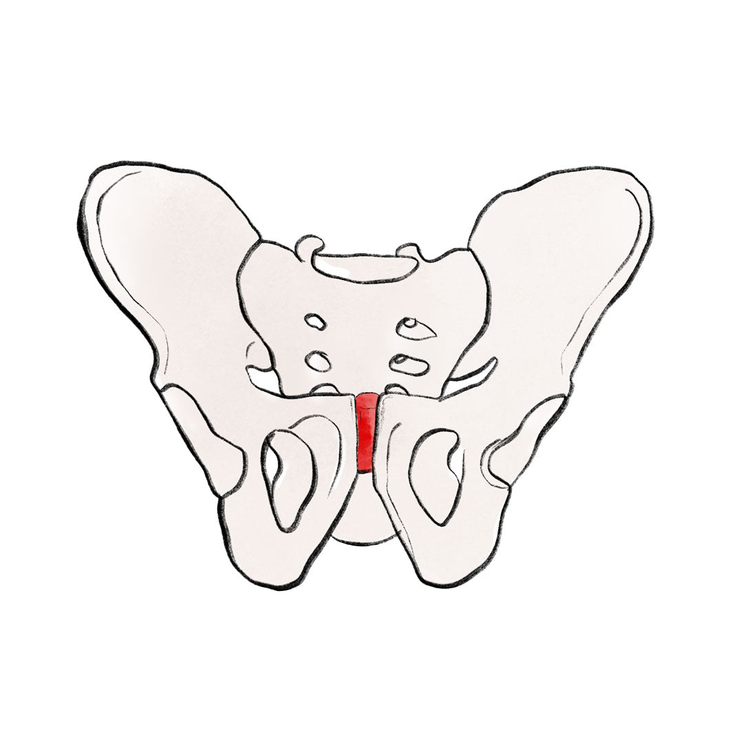 Symphysenlockerung in der Schwangerschaft