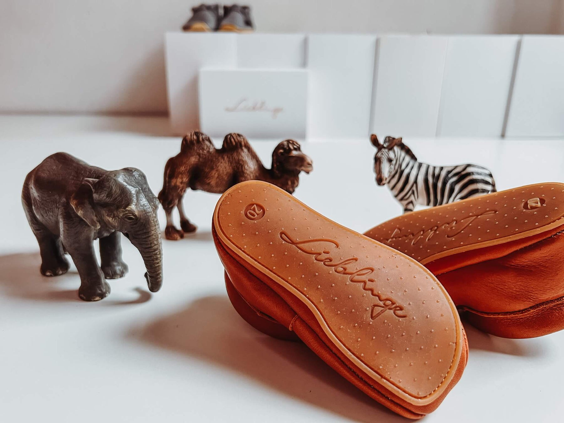 Lieblinge Schuhbild mit Spielzeug