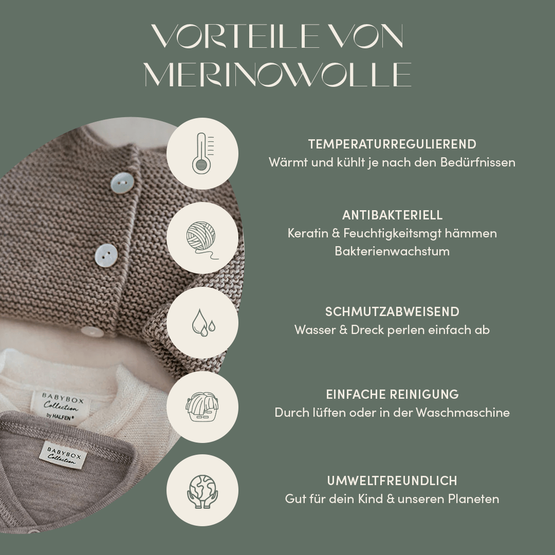 Info Grafik Vorteile Wolle