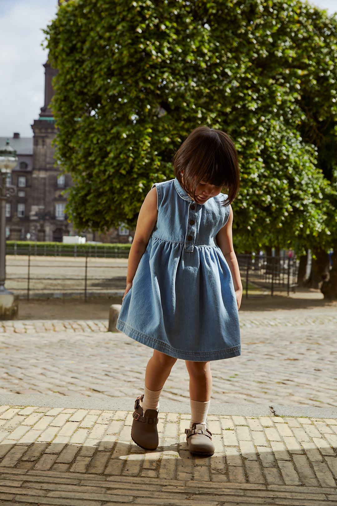 Jeans Kleid mit Kragen