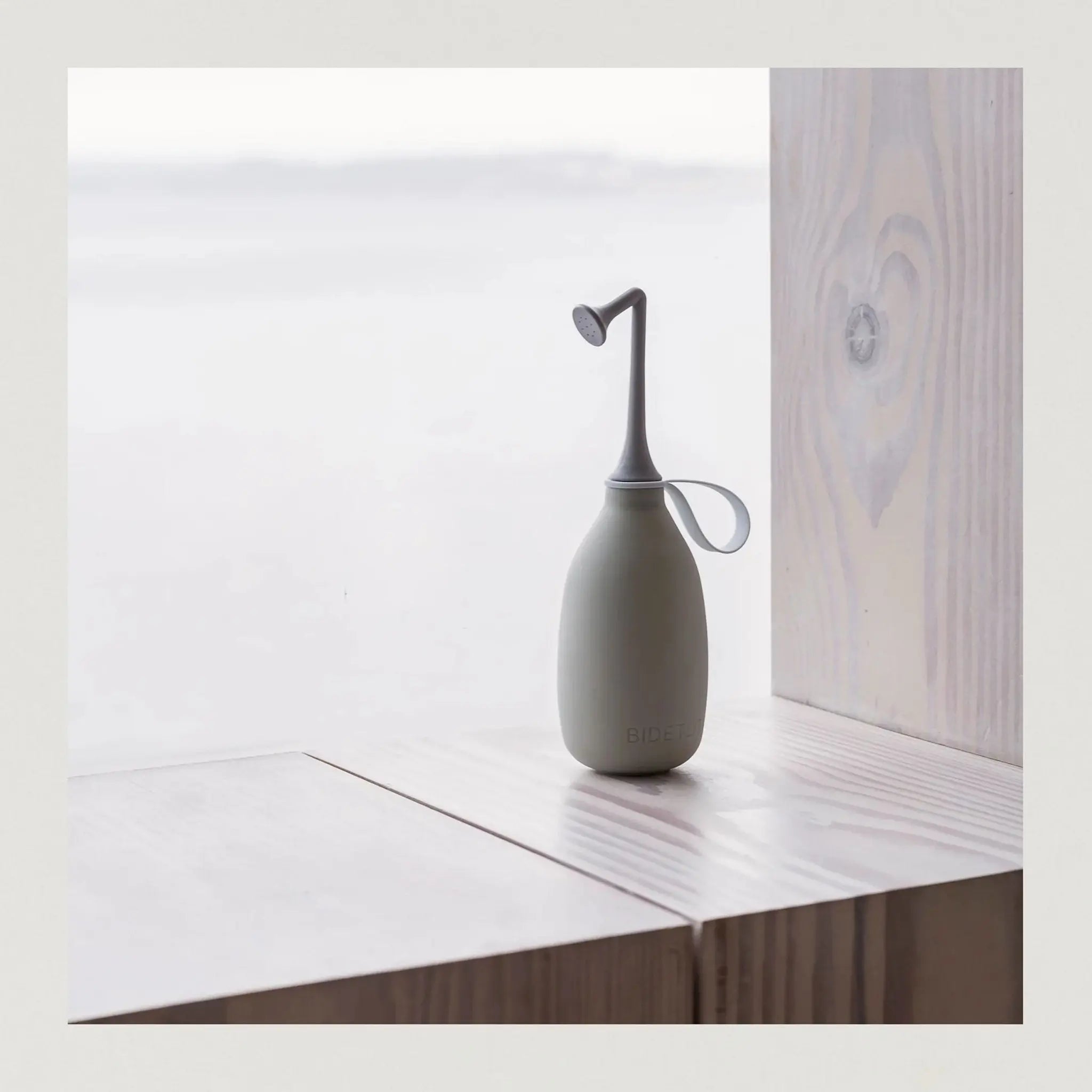 Babybox and Family Bidetlity Intim Dusche #farbe_