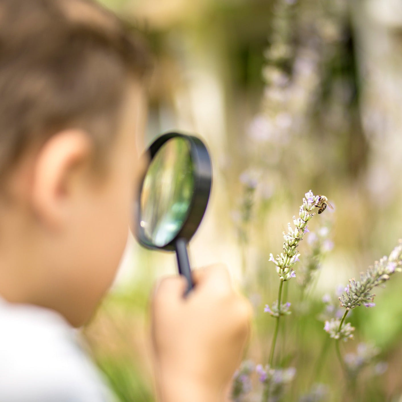 Insektenstiche und Zeckenbisse – was tun? - Babybox and Family