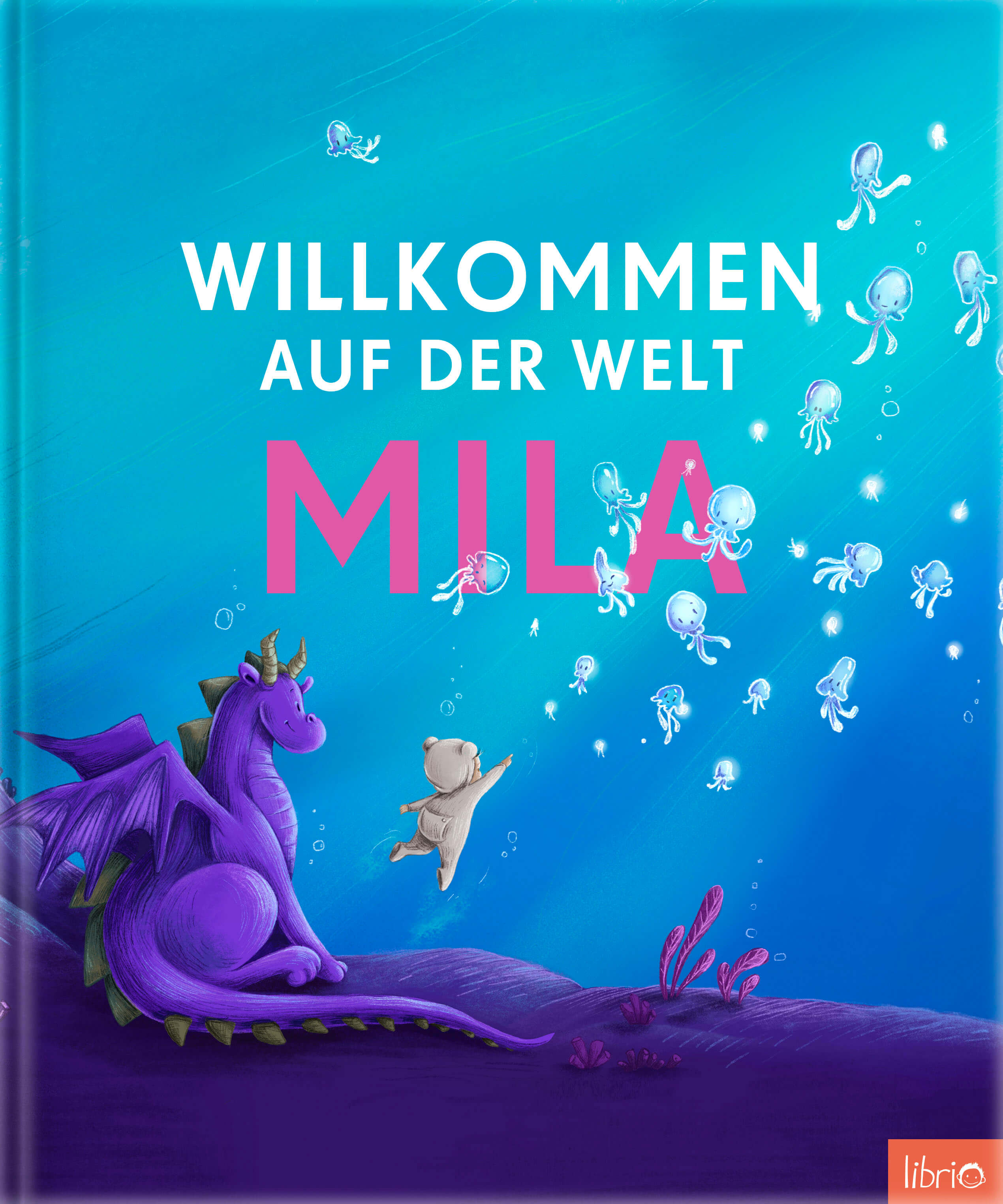 Librio Buch Cover Willkommen