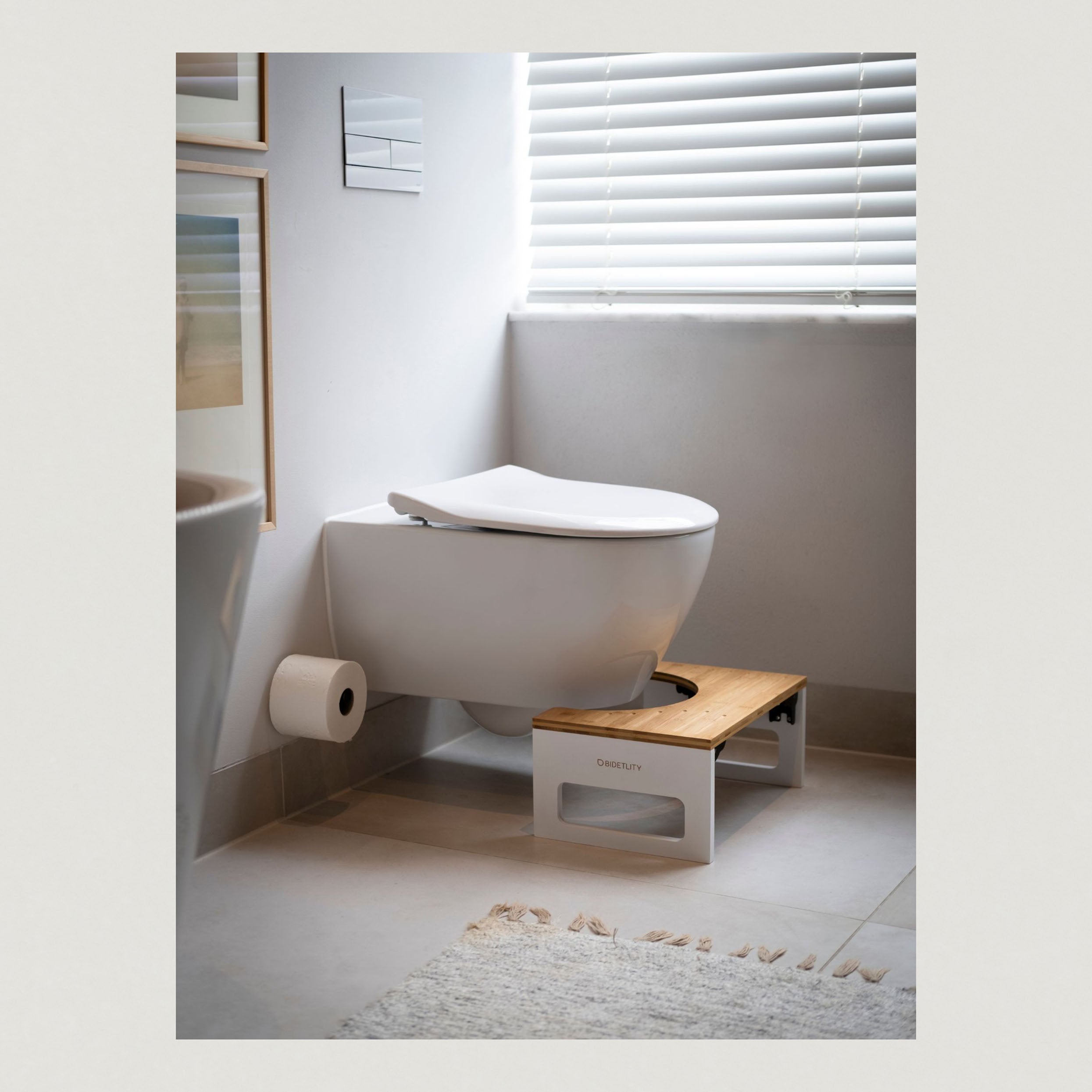 Bidetlity toilet stool