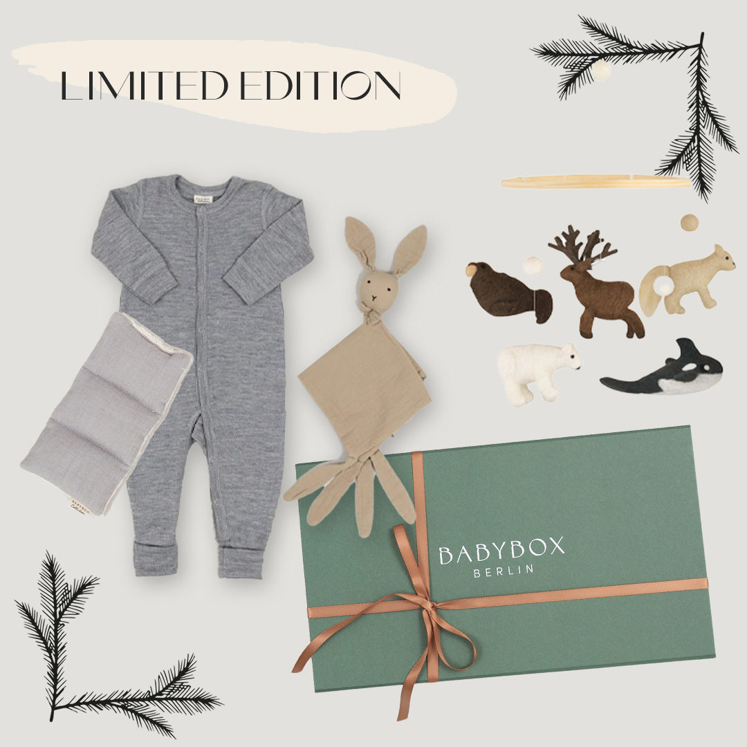 Weihnachtsgeschenkbox von Babybox
