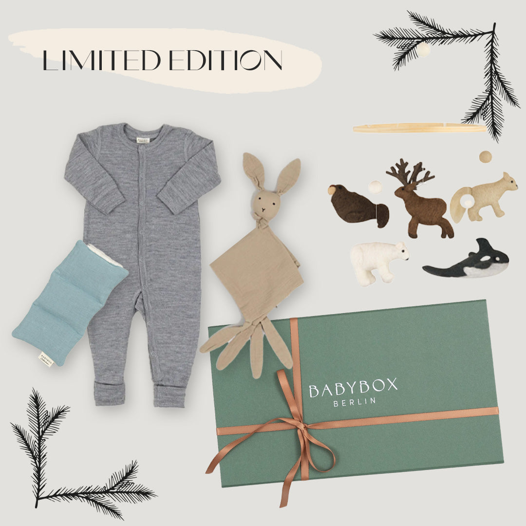 Weihnachtsgeschenkbox von Babybox