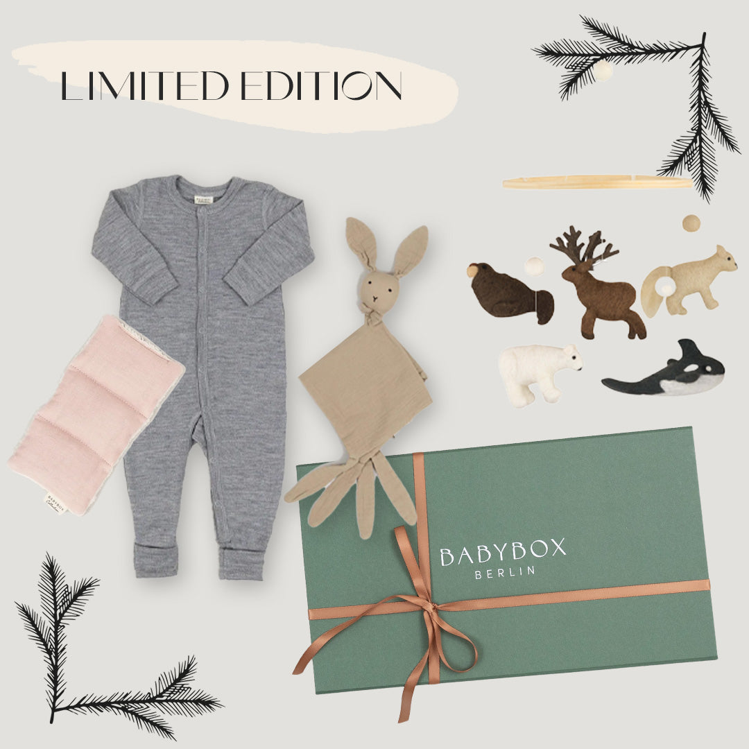 Weihnachtsgeschenkbox von Babybox