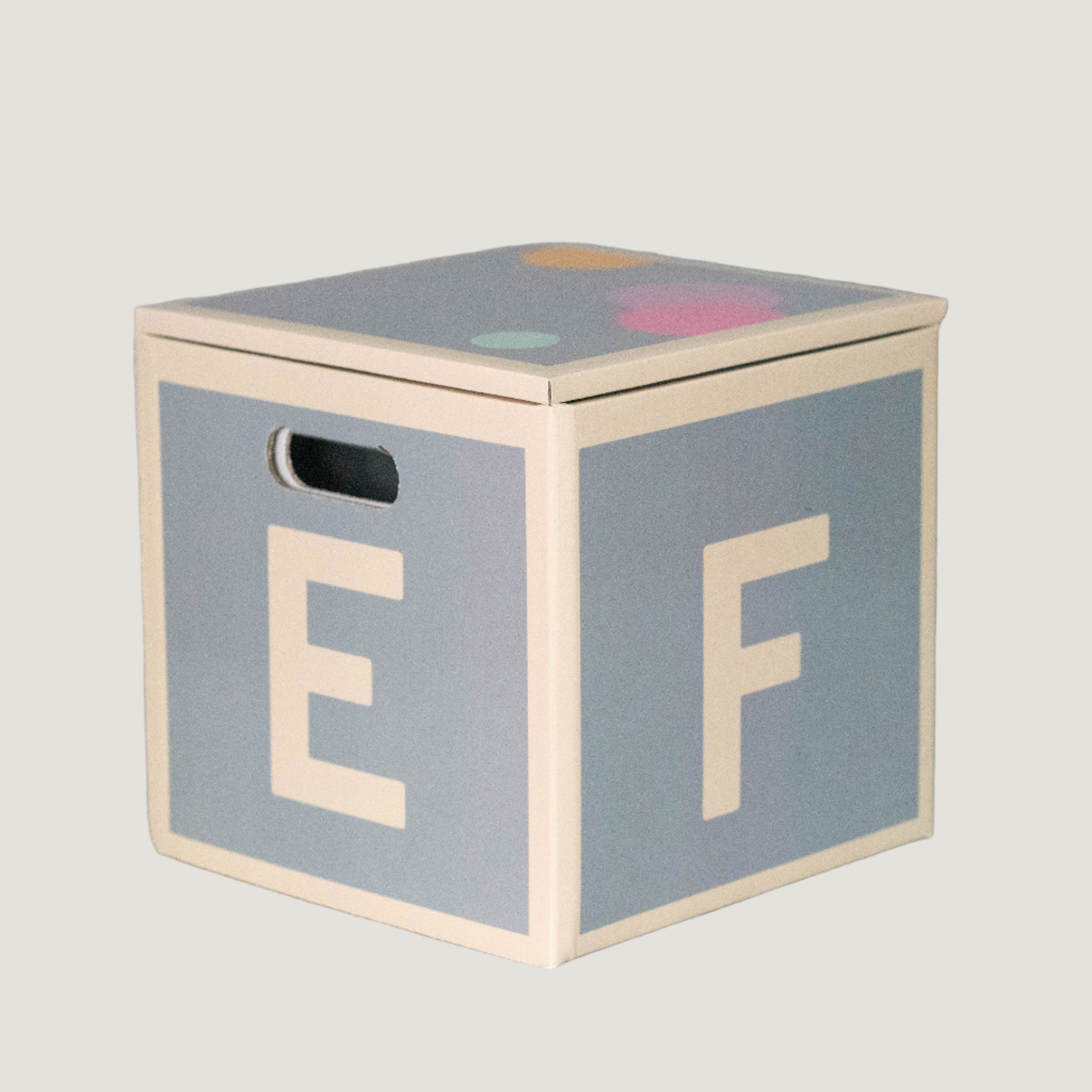 Lettox Aufbewarhungsbox EF