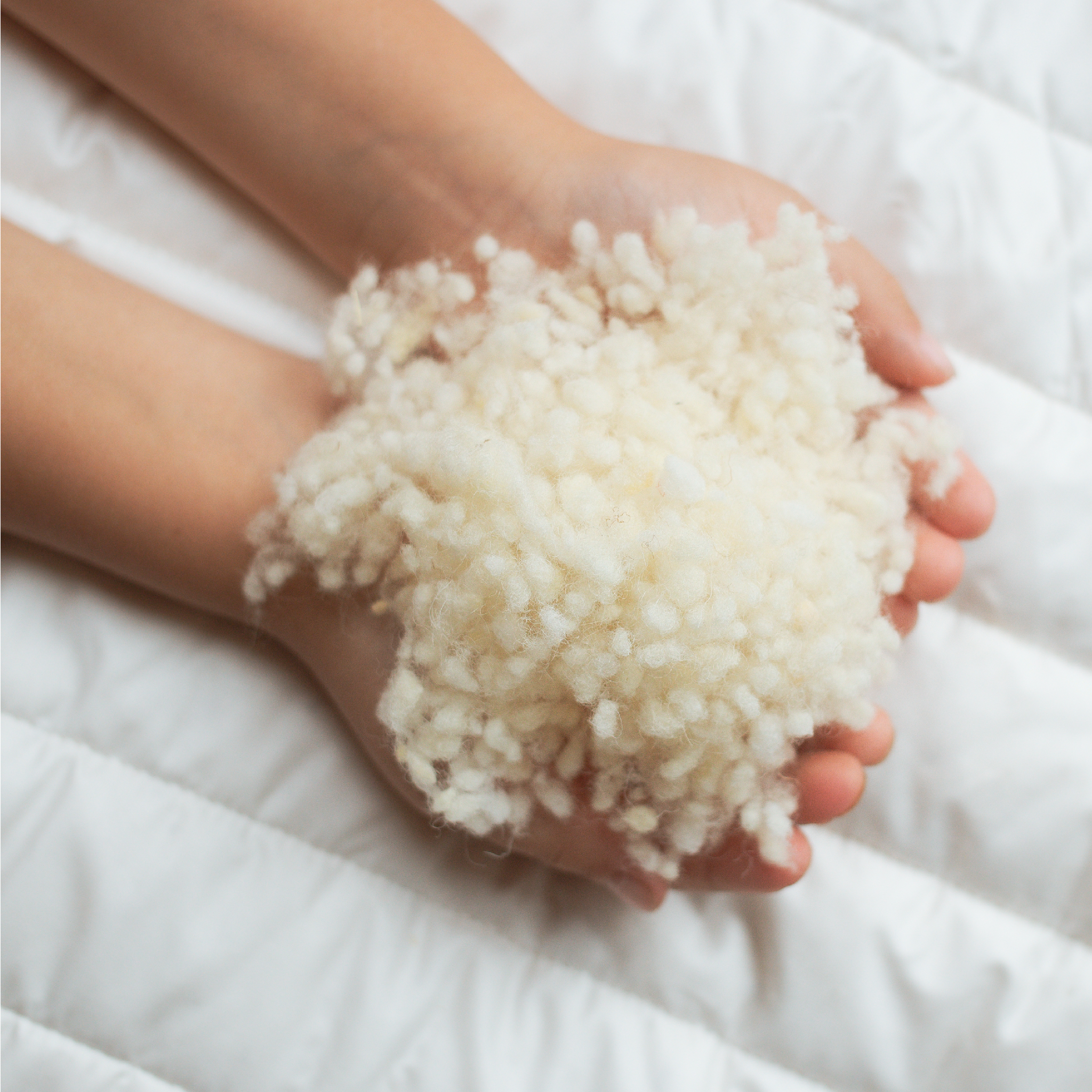 Set aus Bio-Woll-Bettdecke & Bio-Schurwoll-Kopfkissen – murmuntohaft schlafen