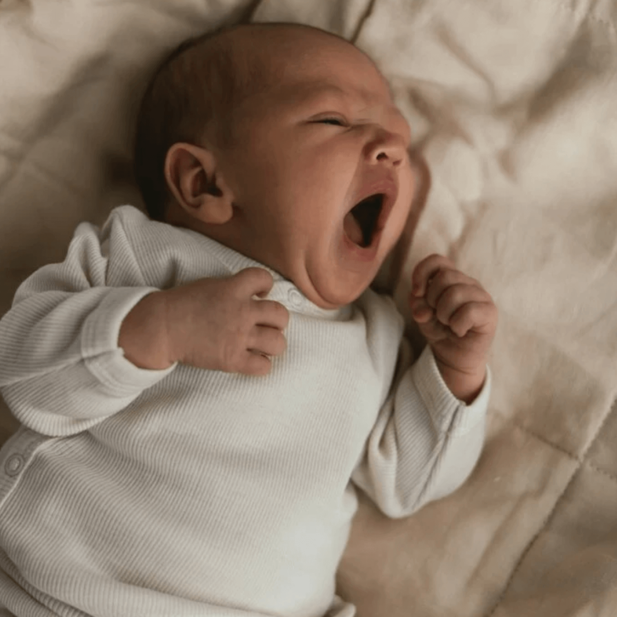 Produktfoto Wickel Cardigan Wolle Feinripp marazin